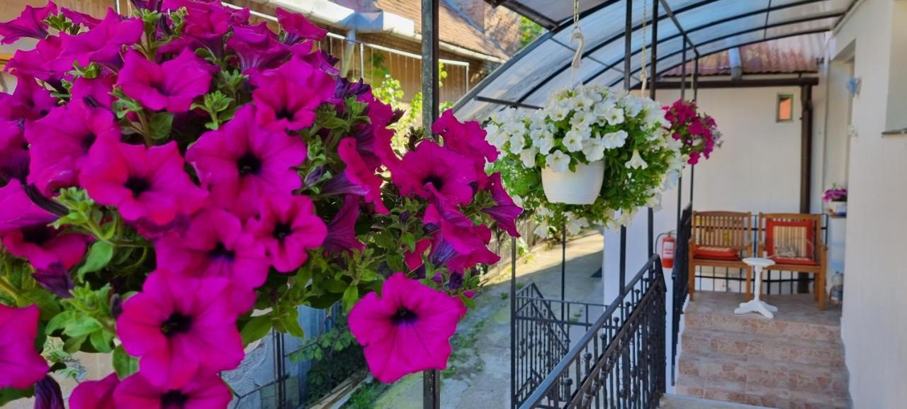 Citadel Rooms Cluj-Napoca Ngoại thất bức ảnh
